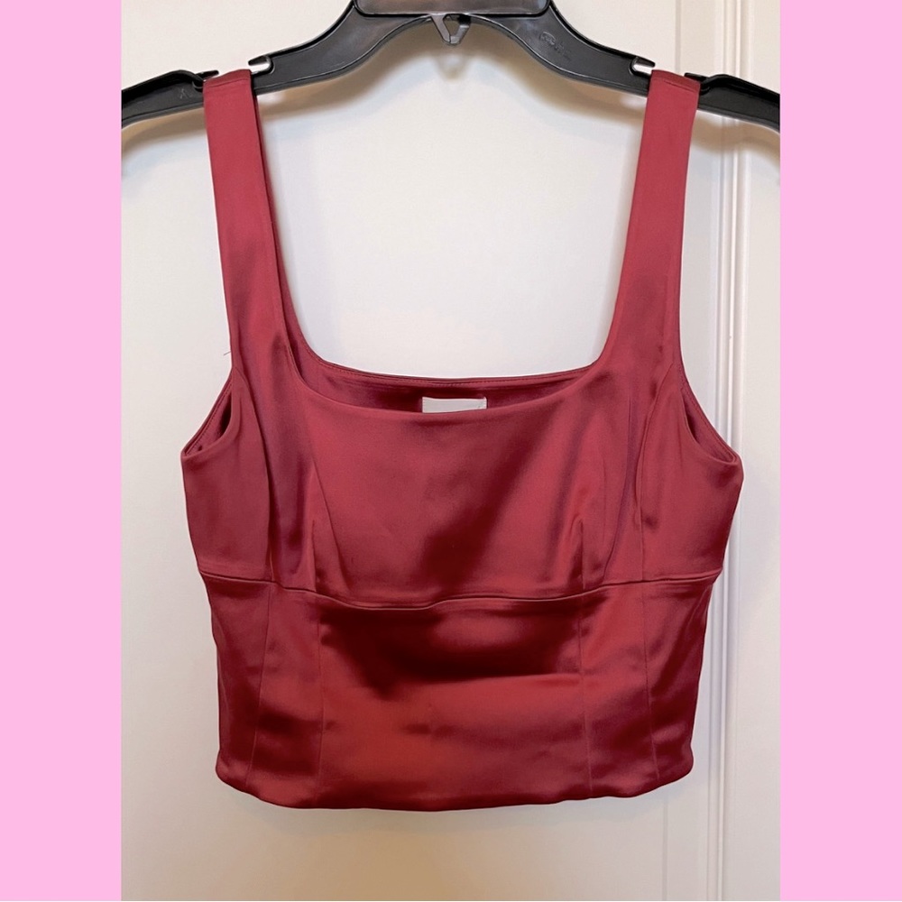 Aritzia corset top